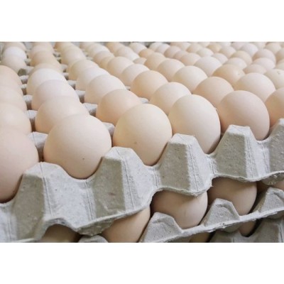 Eggs-Kampung Tray of 30