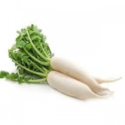 Bug's Paradise Farm-Organic Radish (1kg)