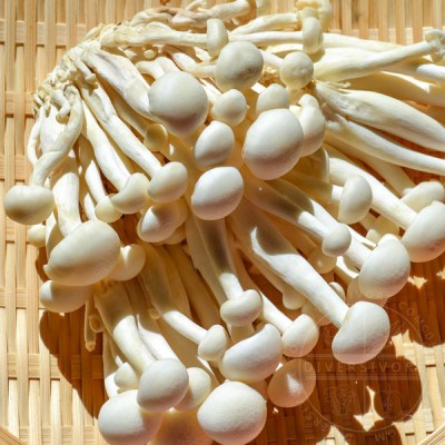 White Shimeji Mushroom Packet