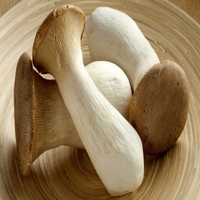 Bug's Paradise Farm -Organic Eryngii Mushroom (200g)