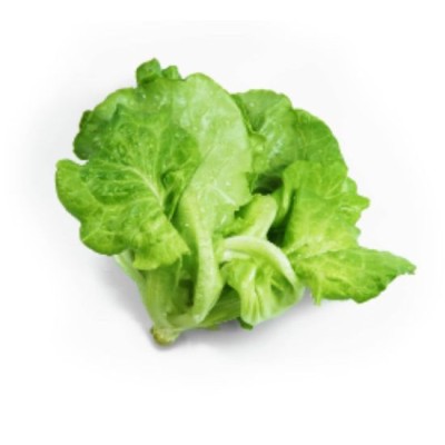 Romaine Lettuce (250g)