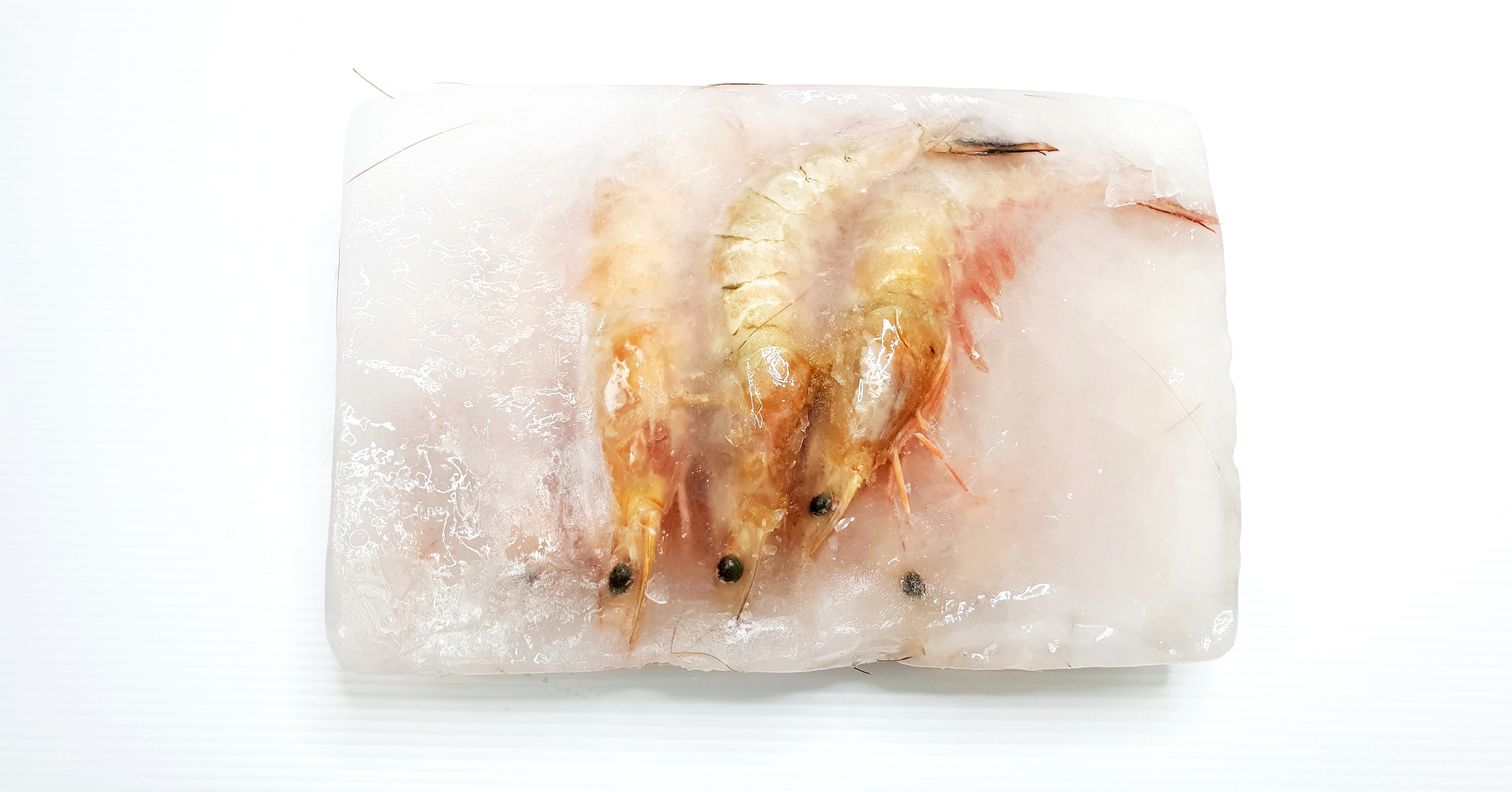 Frozen Big Prawn Size-XL Sea Caught 500g pack