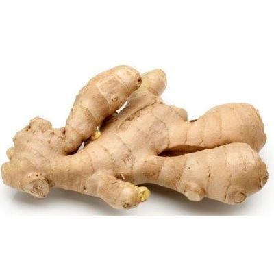 Young Ginger (sold by kg)