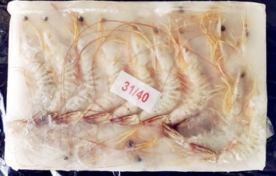 FRESCO Sea White - 700g Per Packet [SOLD PER PACKET]