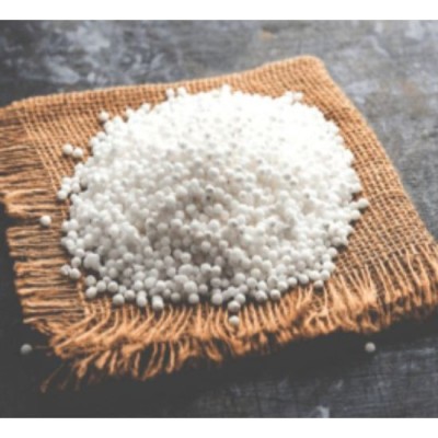 Pearl Sago (100g)