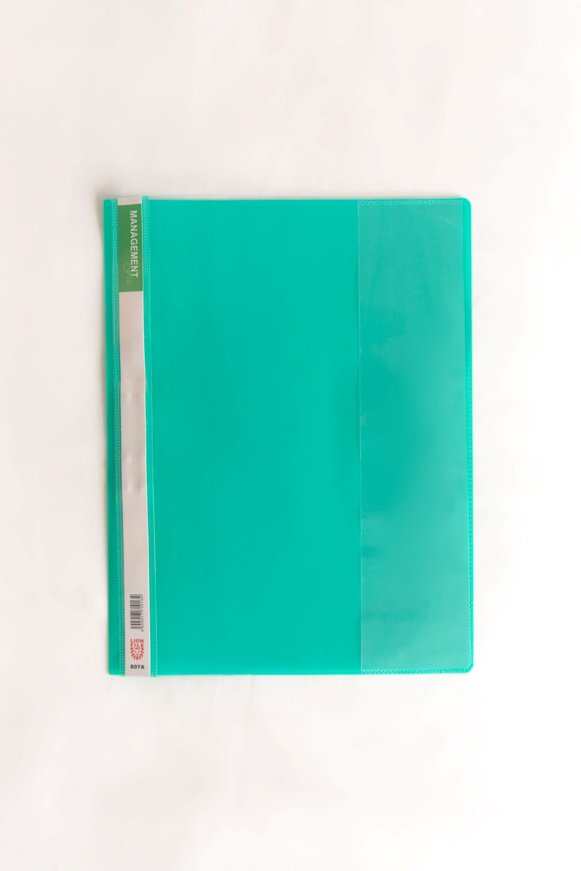 Lion File Management File - Green (288 Units Per Carton)