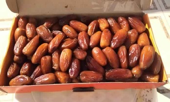 Tunisian Deglet Noor Dates (12 X 1kg)