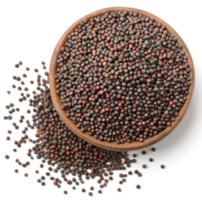 Biji Sawi - Mustard Seed 40g