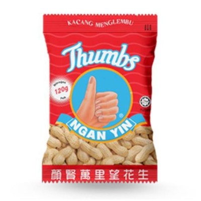 Ngan Yin Hand Brand GROUNDNUT 120g