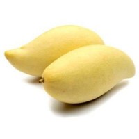 mini thumb
